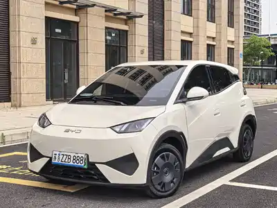 BYD Seagull