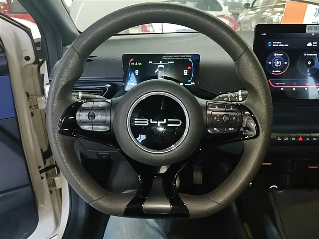 BYD Seagull 2023 Vitality Edition фото 11