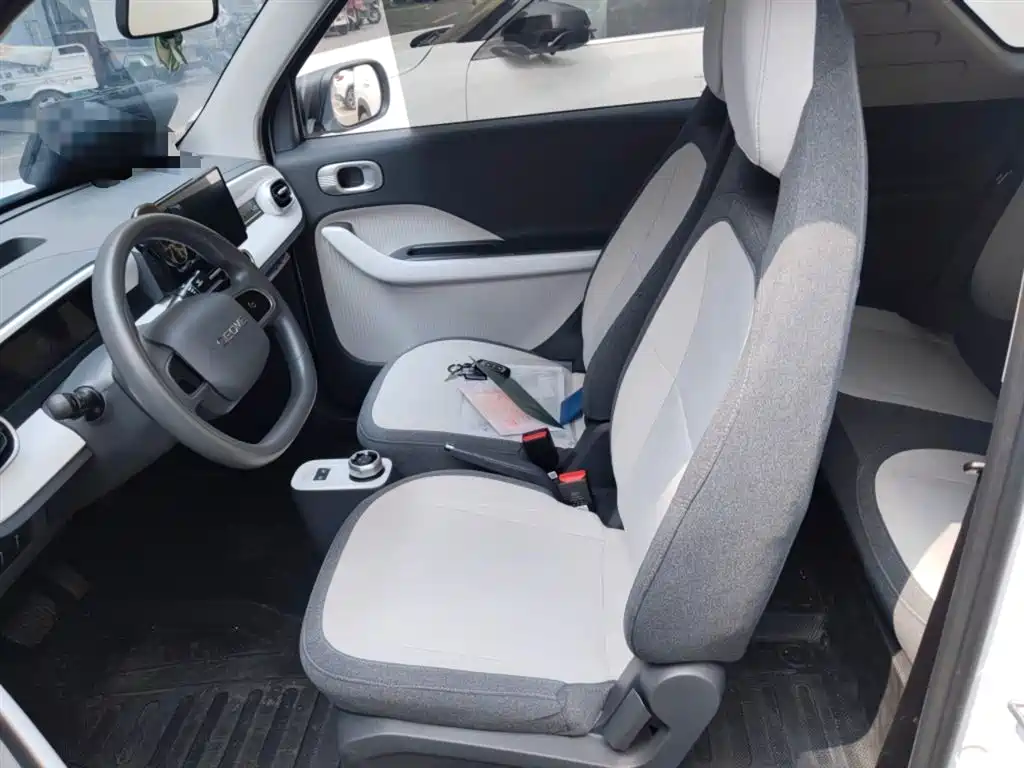 Geely Galaxy Panda 2025 Panda mini 210km Vitality Bear фото 8