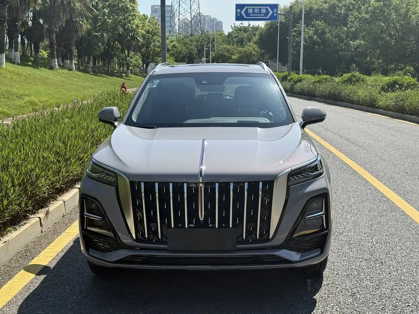 Hongqi HS5 2023 2.0T Flag Enjoy Pro Edition фото 2