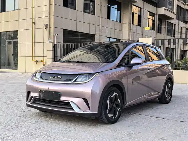  BYD Dolphin 2021 Model 405km Fashion Edition