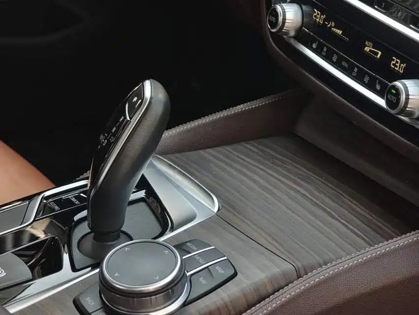 BMW 5 Series 2020 530Li Leading Luxury Package фото 7