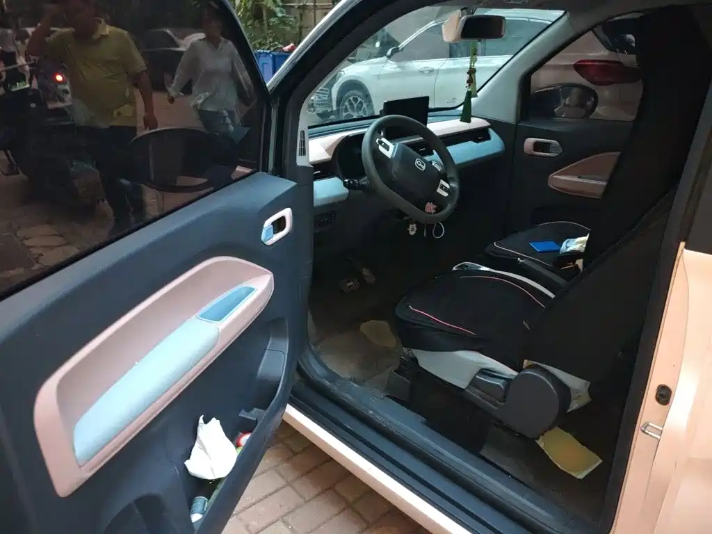 QQ New Energy QQ Ice Cream 2024 2024 Youth Edition 205km Sundae