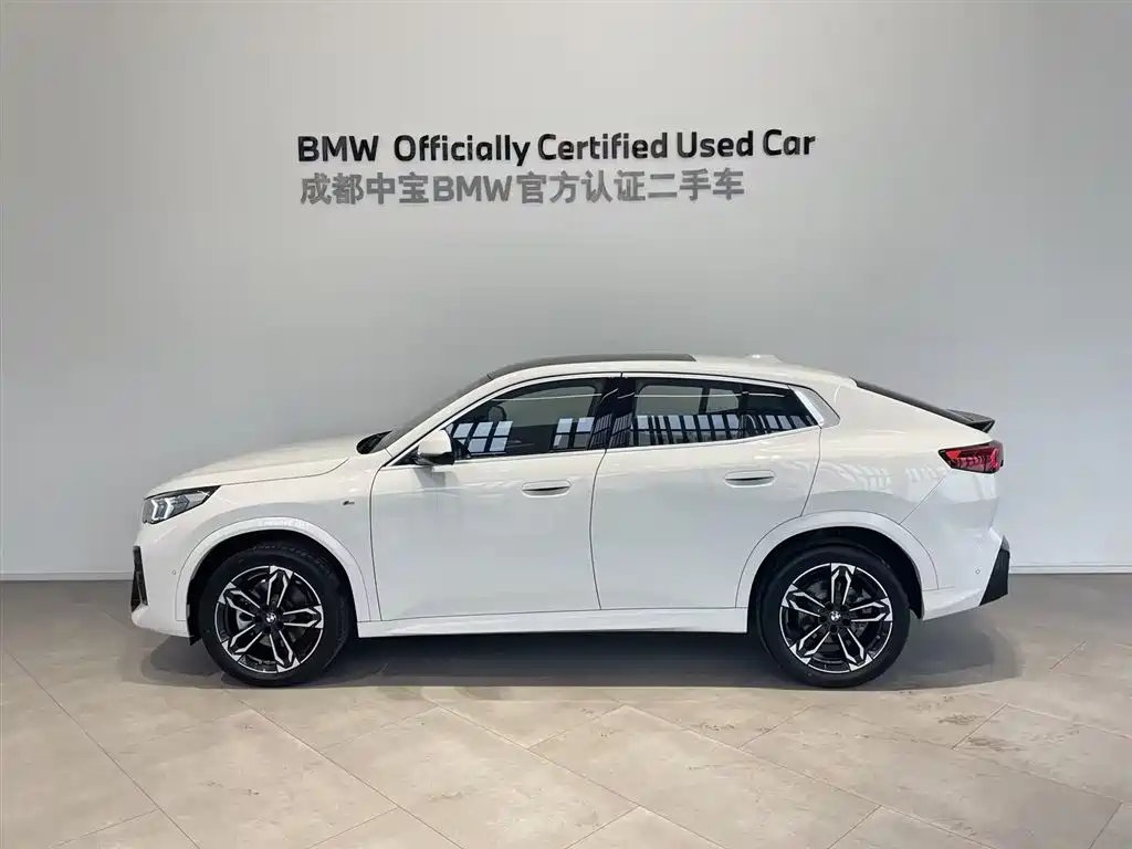 BMW X2 (Import) 2025 sDrive25i M Sport Package фото 2