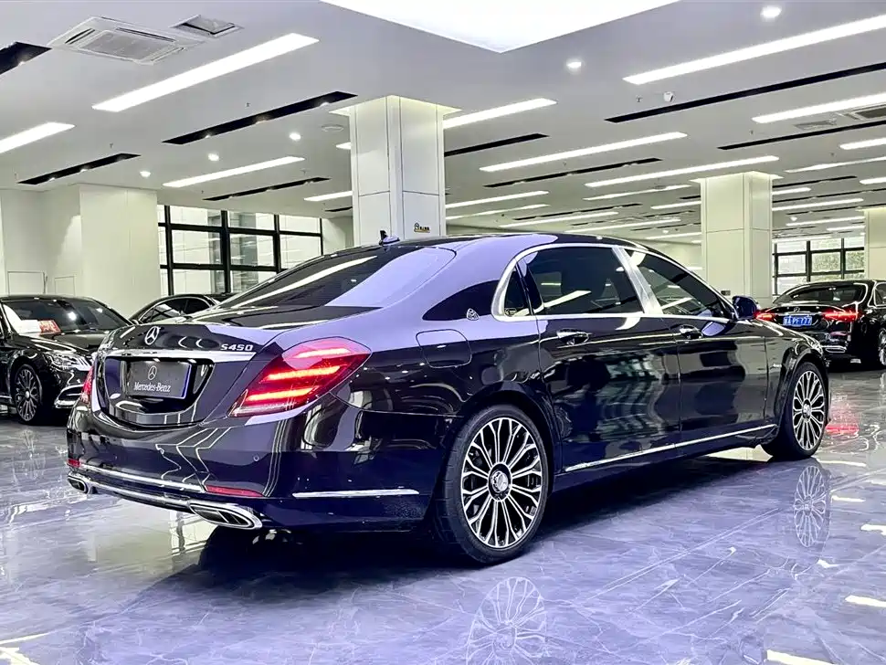 Mercedes-Benz Maybach S-Class 2020 S 450 4MATIC Collector's Edition фото 6