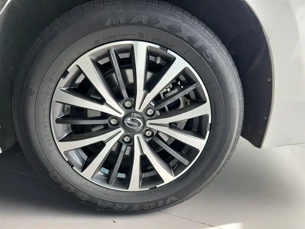 GAC Trumpchi Trumpchi M8 2021 Leading Show Series 390T Premium Edition фото 13