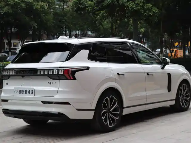 Lynk & Co 09 EM-P 2024 2.0TD EM-P AWD HALO 6-Seater — фото 4