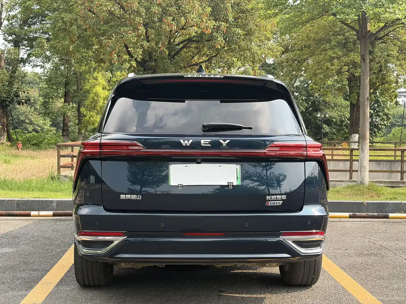 WEY Lanshan 2023 2023 AWD Ultra Long Range Edition