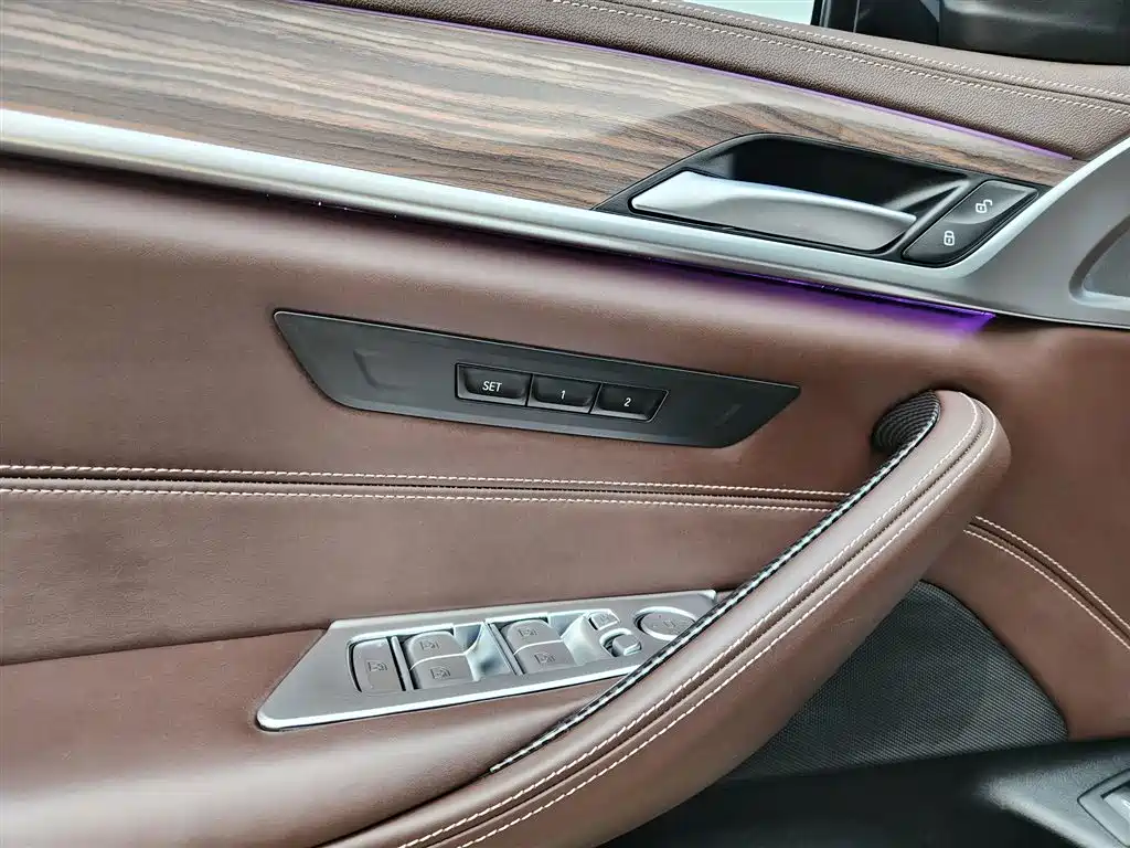 BMW 5 Series 2020 530Li Leading Luxury Package фото 15
