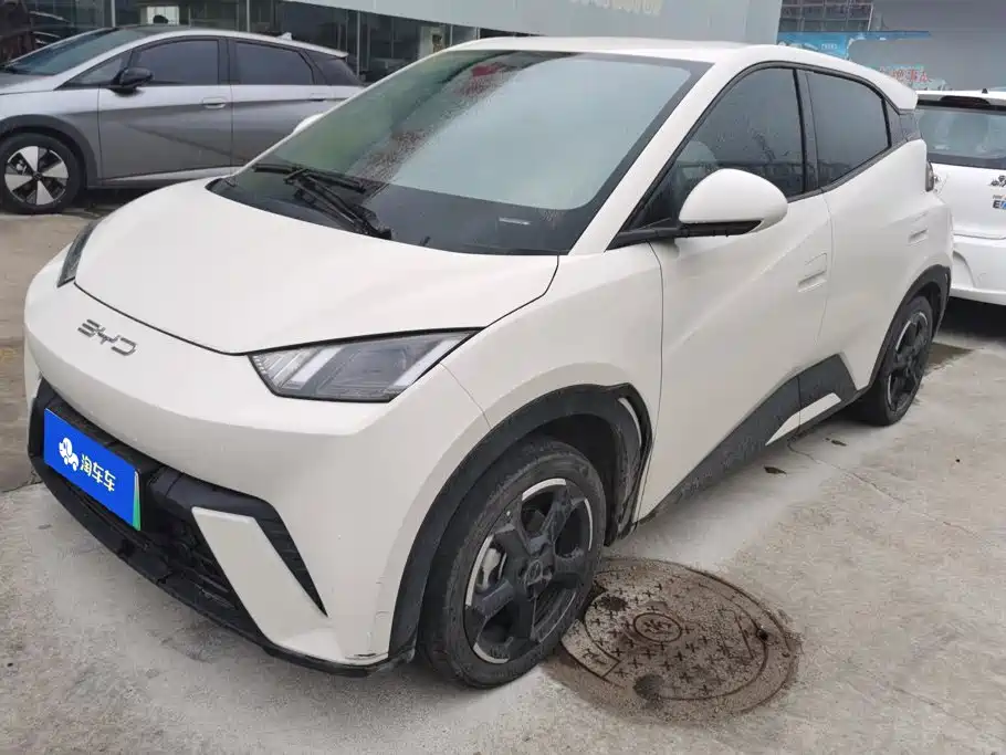BYD Seagull 2023 Freedom Edition
