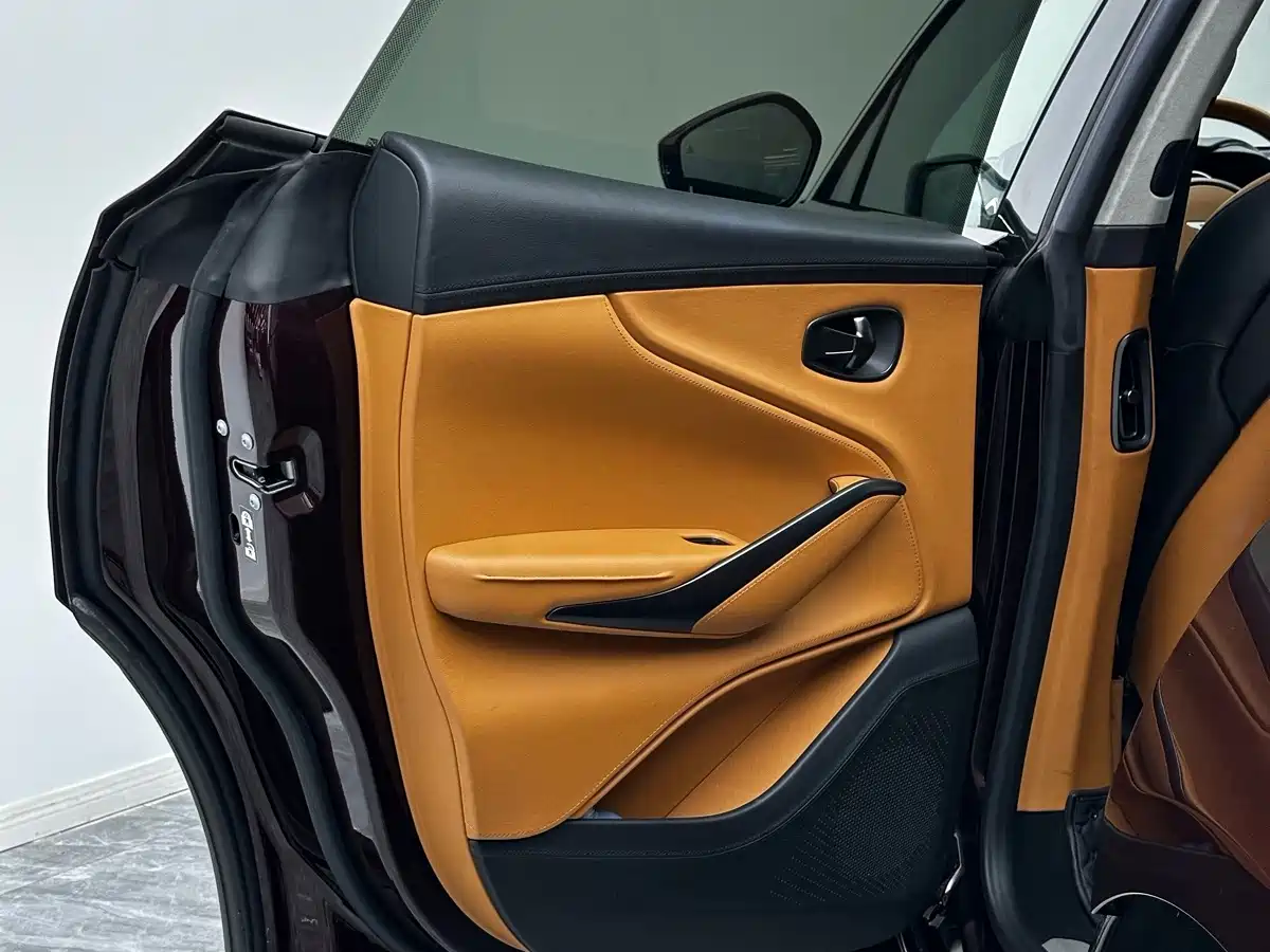 Фото 22 - Aston Martin DBX