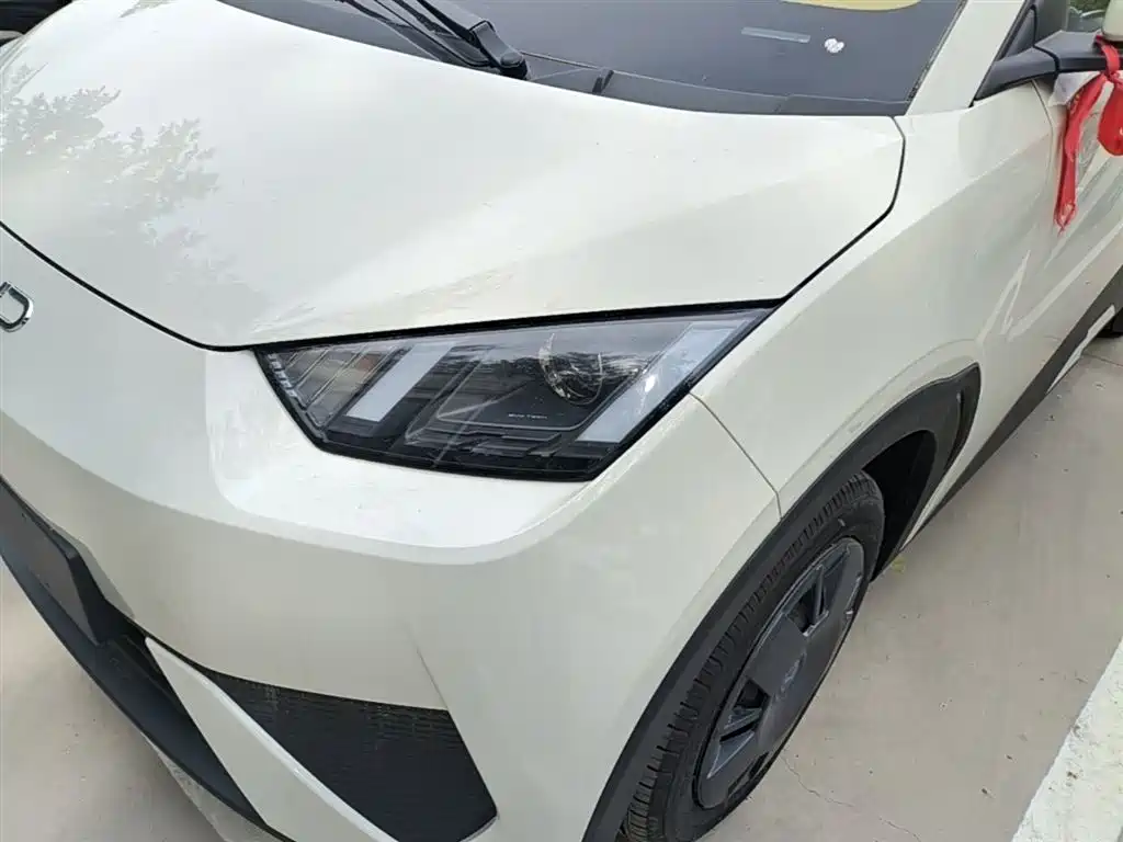 BYD Seagull 2025 Smart Drive Edition 305km Vitality Version фото 24
