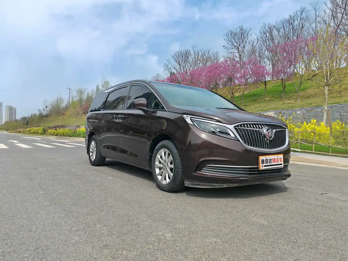 Buick GL8 2017 ES 28T Premium China V фото 3