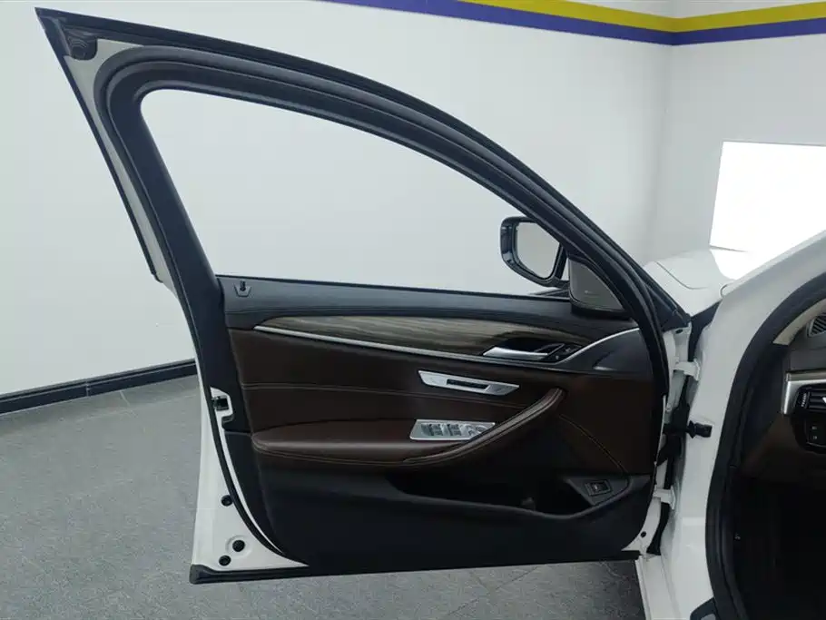 BMW 5 Series 2019 530Li Leading Luxury Package фото 7