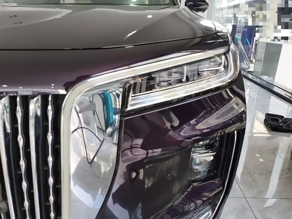 Фото 24 - Hongqi H9