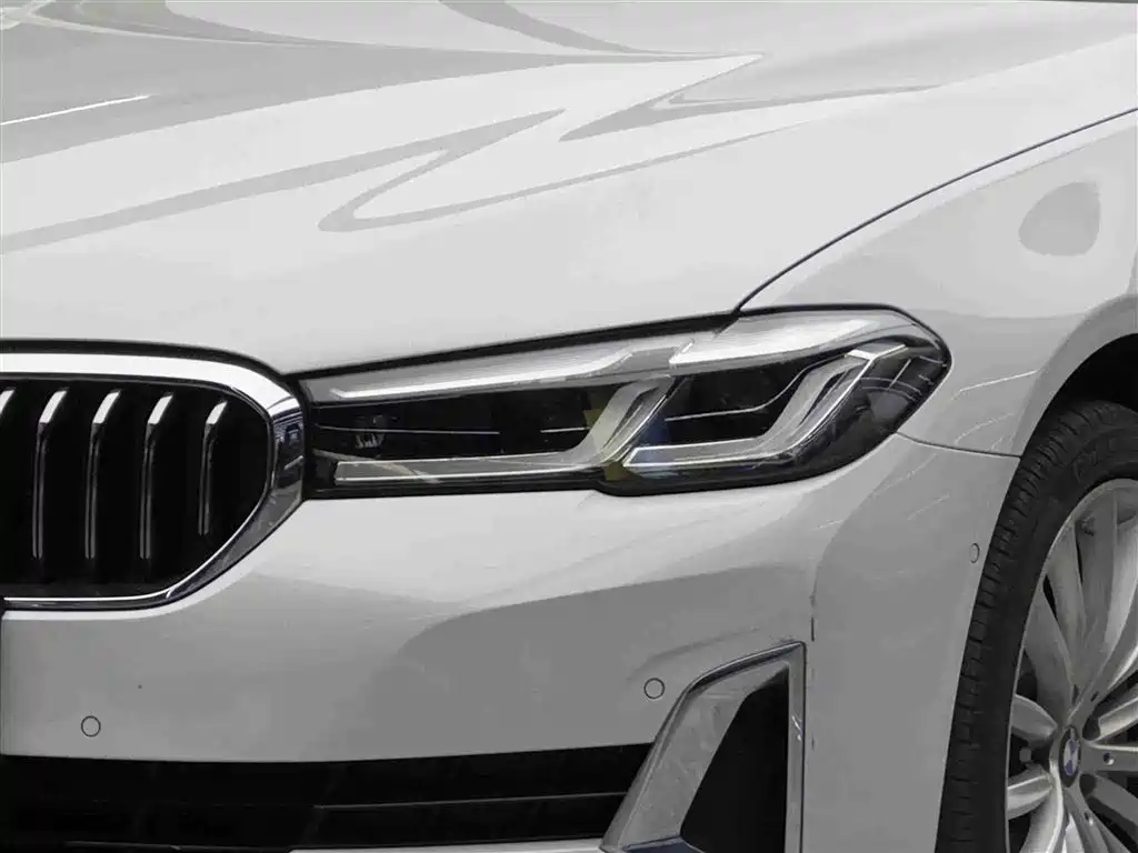 BMW 5 Series 2021 530Li Premium Luxury Package фото 3