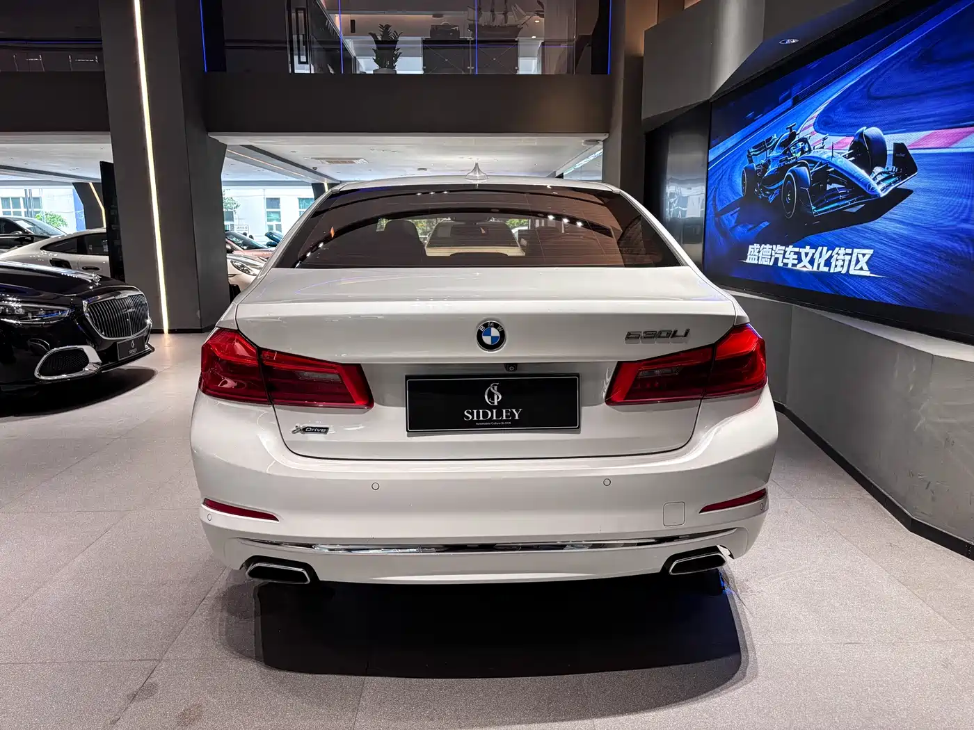 BMW 5 Series 2020 530Li xDrive Luxury Package фото 5