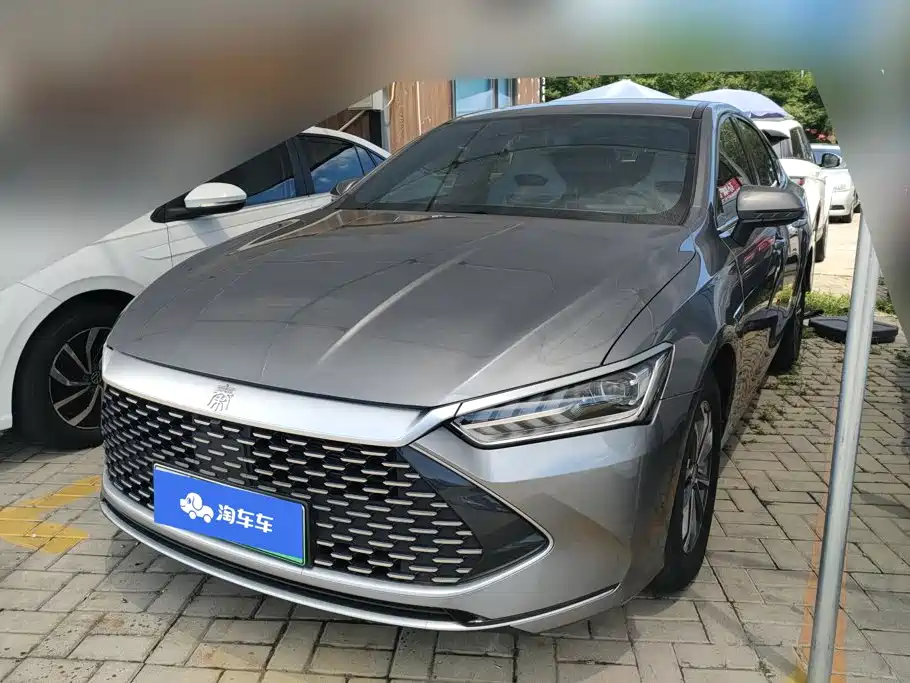 BYD Qin PLUS 2023 Champion Edition DM-i 55KM Leading