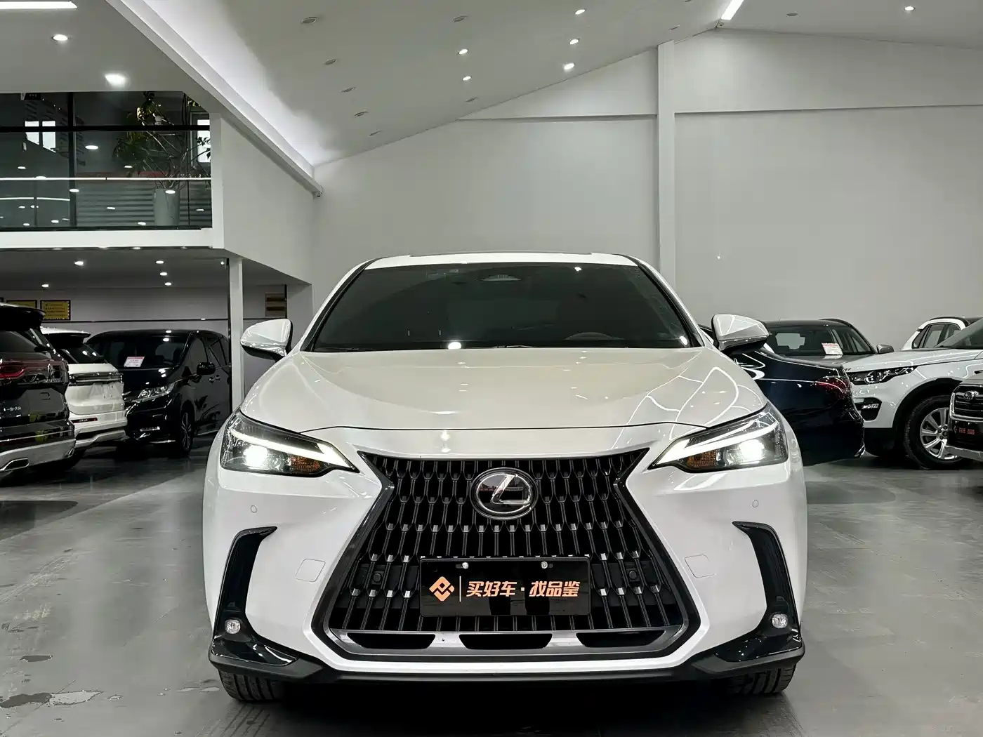 LEXUS NX