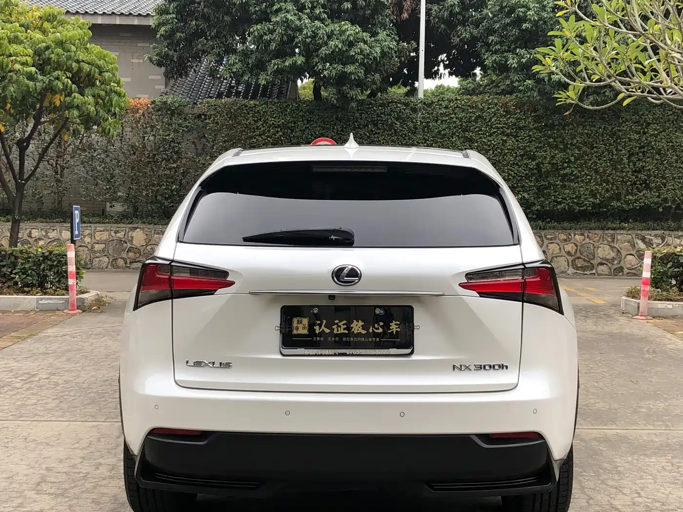 Lexus NX 2015 300h AWD F SPORT фото 5