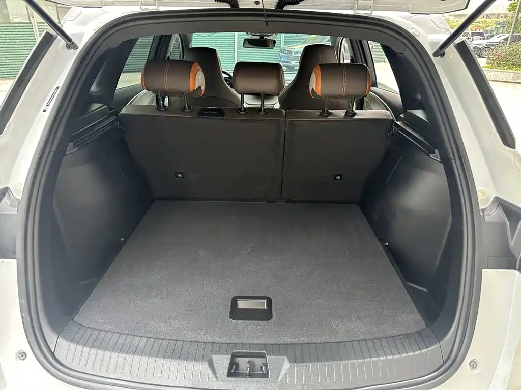 BYD Song Pro New Energy 2022 DM-i 51km Luxury фото 9