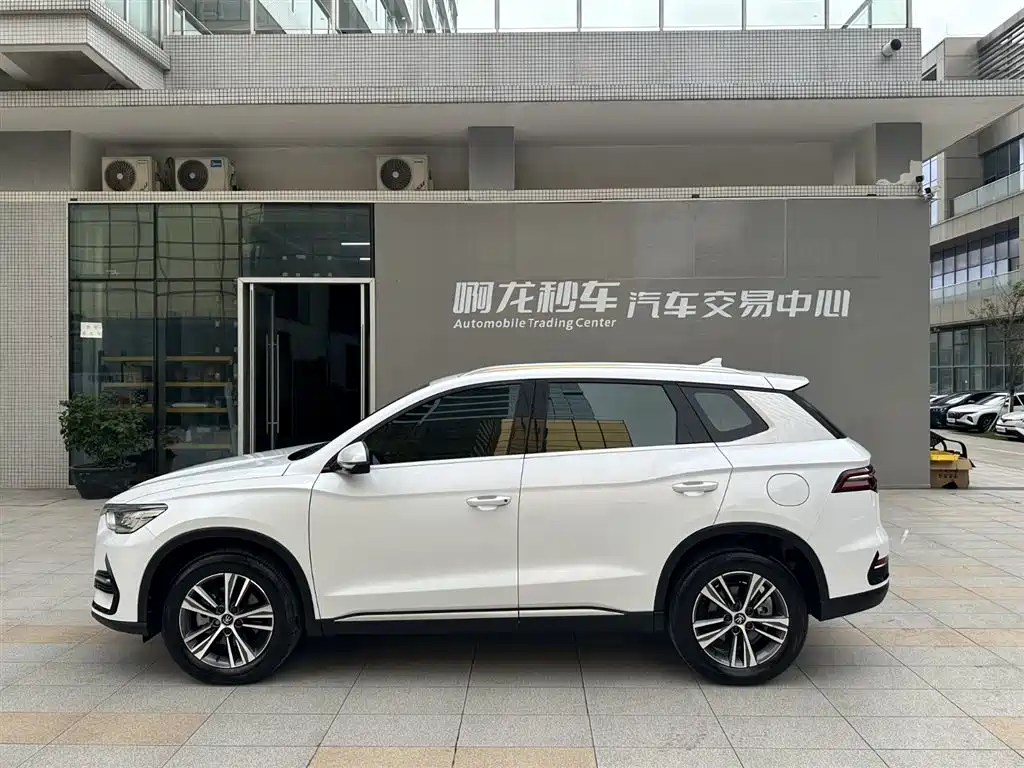BYD Song Pro New Energy 2022 DM-i 51km Luxury фото 20