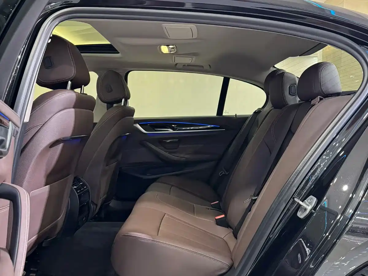 BMW 5 Series 2020 525Li Luxury Package фото 6