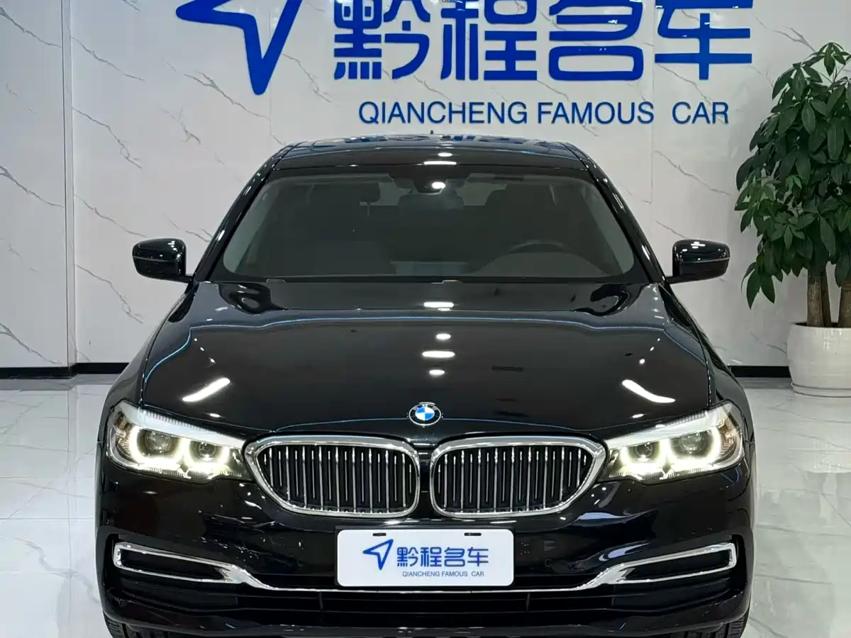 BMW 5 Series 2020 525Li Luxury Package фото 2