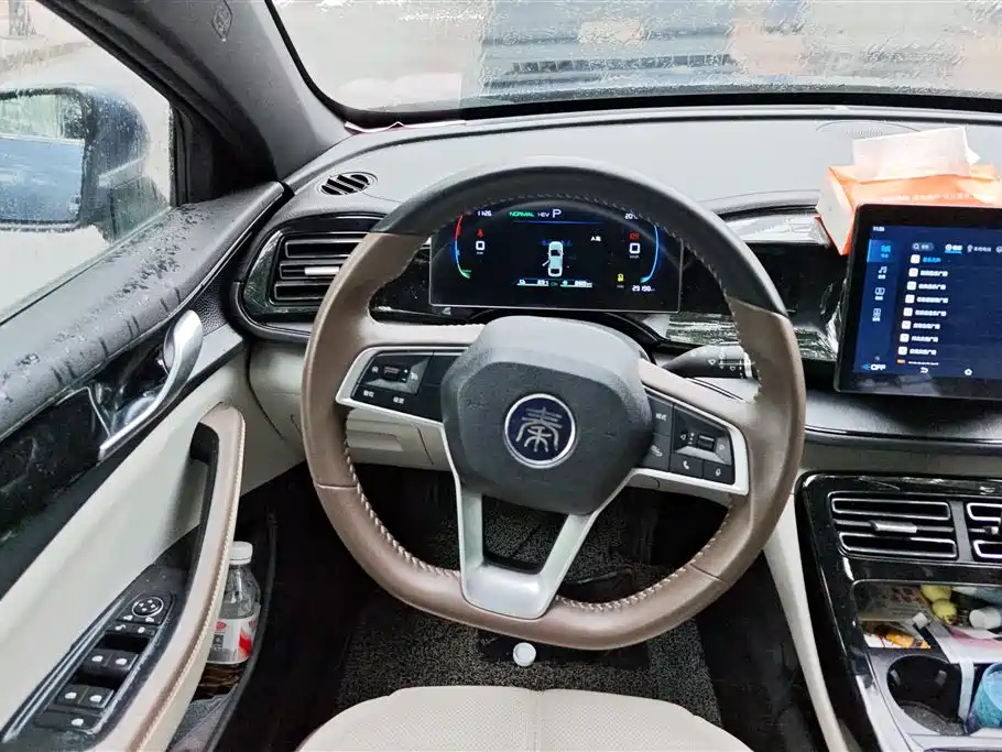 BYD Qin PLUS 2024 Glory Edition DM-i 55KM Leading фото 15