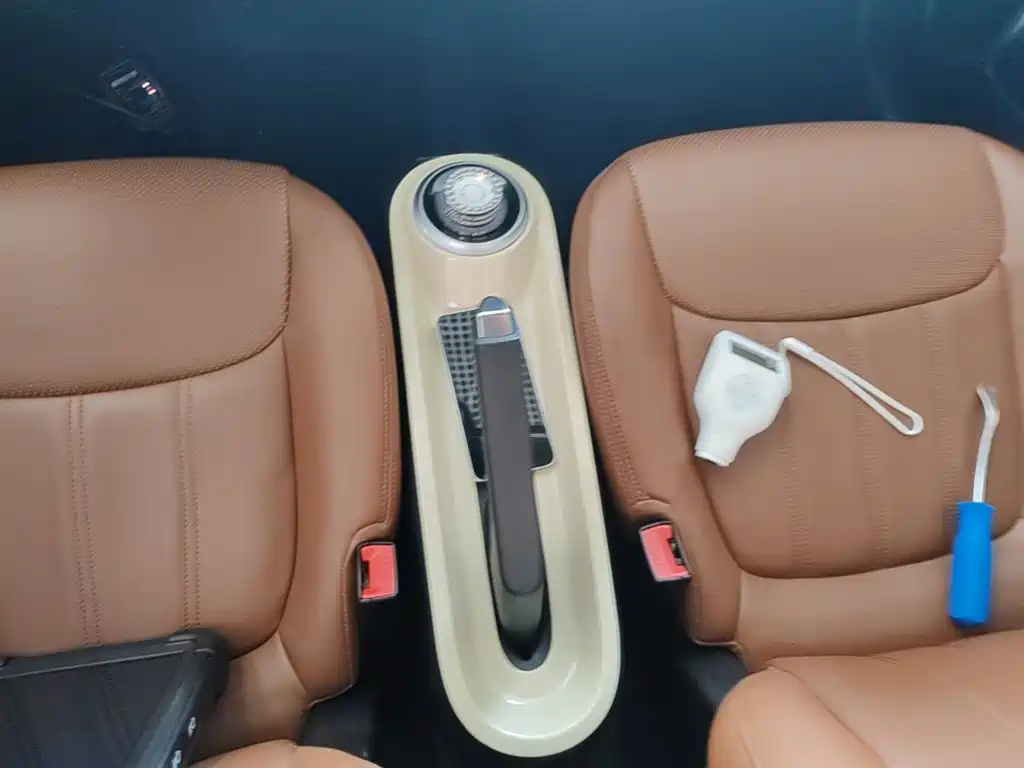 Wuling Motors Wuling Bingo 2023 2023 Model 203km Lite Enjoyment Edition