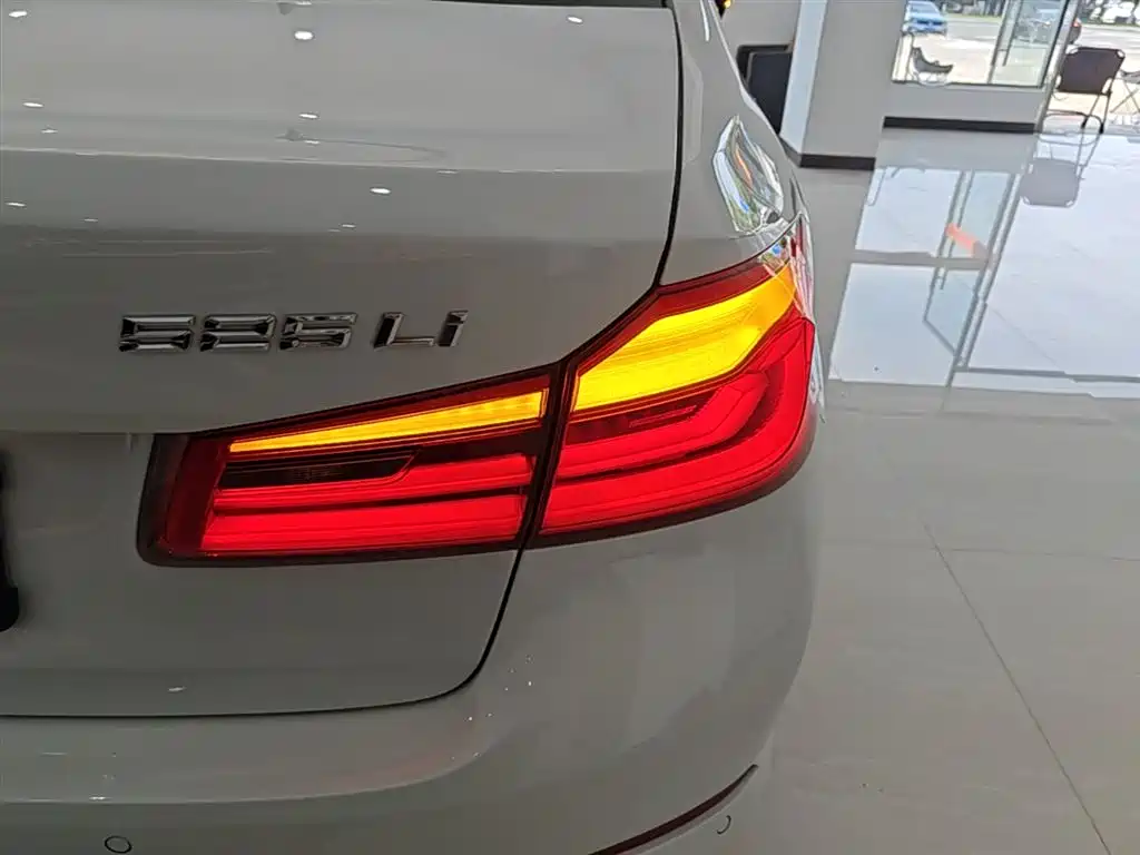 BMW 5 Series 2020 525Li Luxury Package фото 8