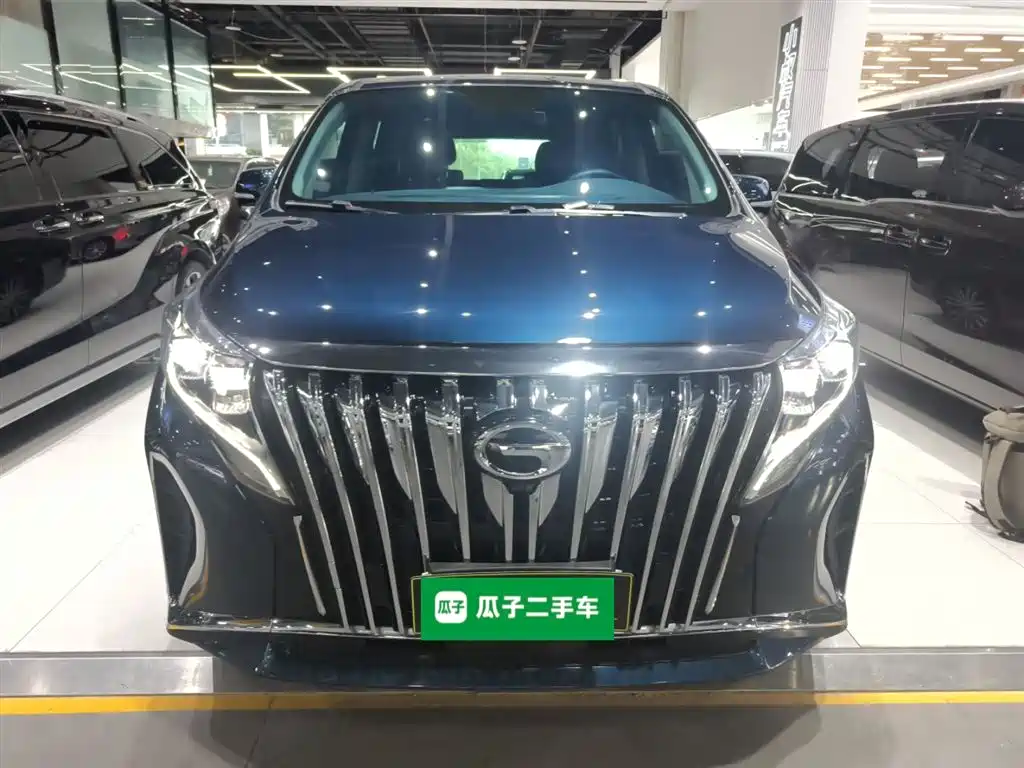GAC Trumpchi Trumpchi M8 2021 Leading Show Series 390T Prestige Edition фото 3