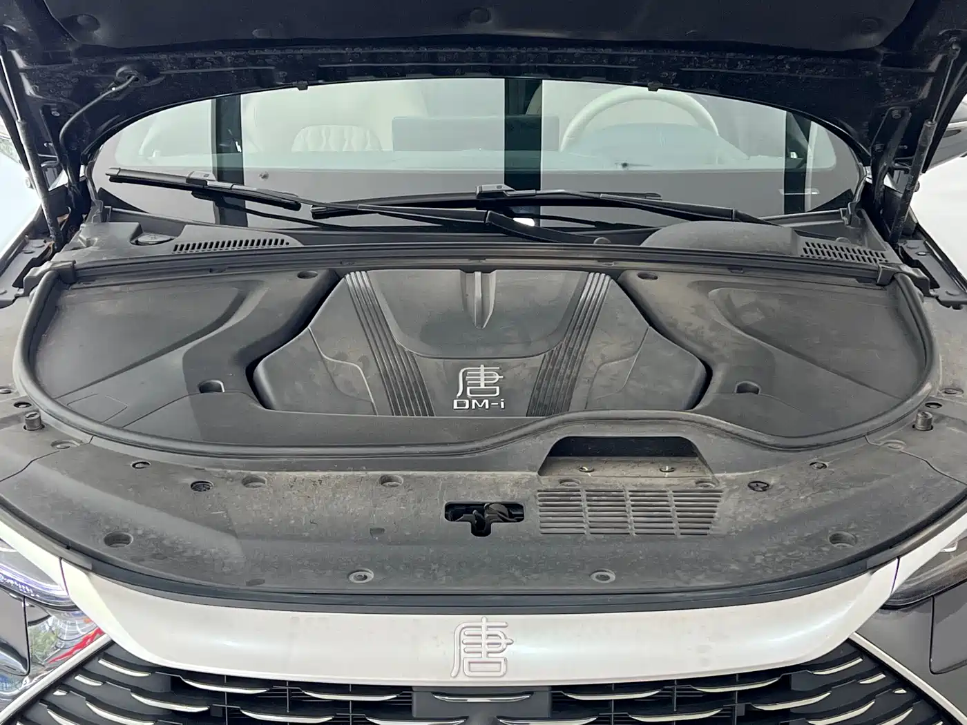 BYD Tang New Energy 2025 Smart Driving Edition DM-i 115KM Flagship фото 4