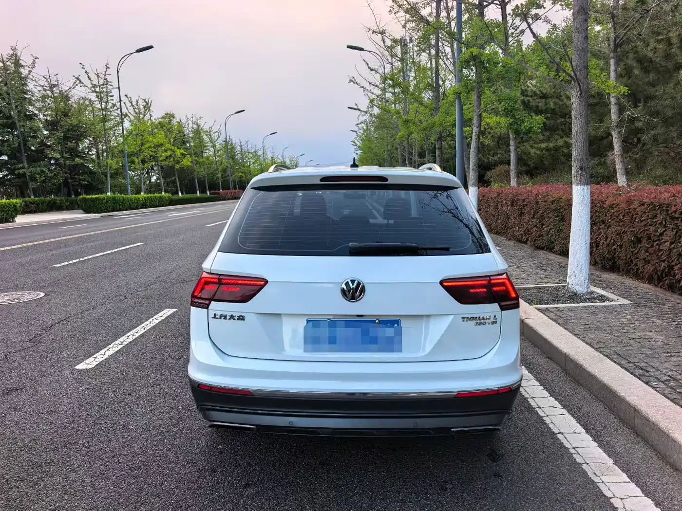 Volkswagen Tiguan L 2018 380TSI Automatic AWD Luxury Edition фото 3