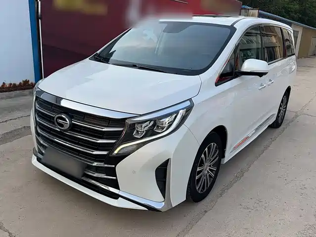 Trumpchi M8 Elegance Series, 390T, Максимум
