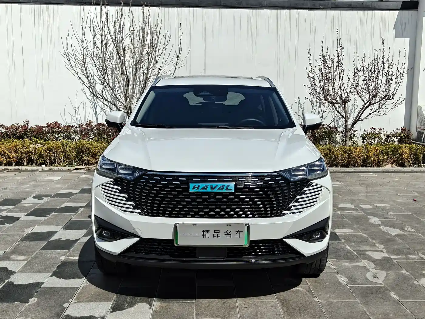 HAVAL H6 NEW ENERGY