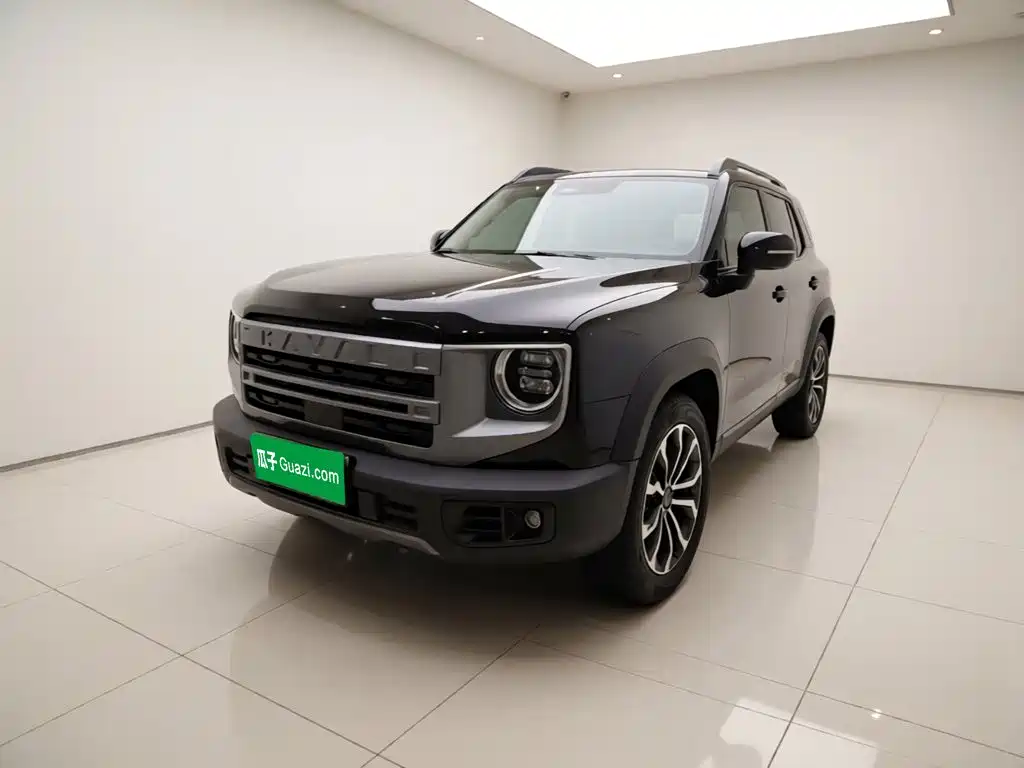 Haval Big Dog 2024 1.5T DCT Border Collie Edition