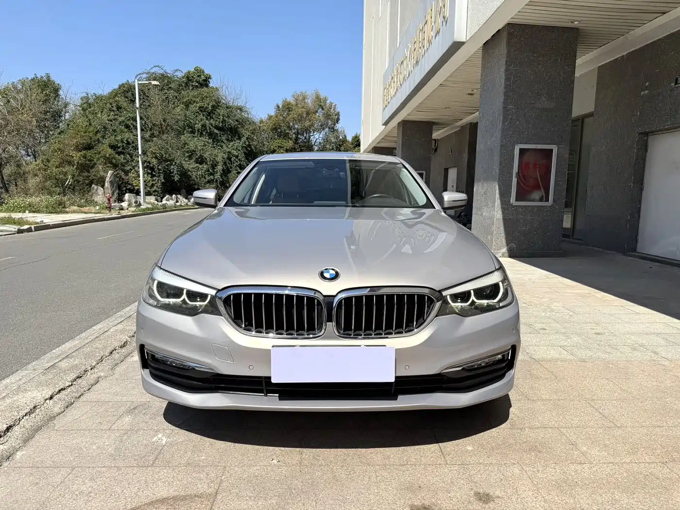 BMW 5 Series 2018 528Li Launch Special Edition фото 2