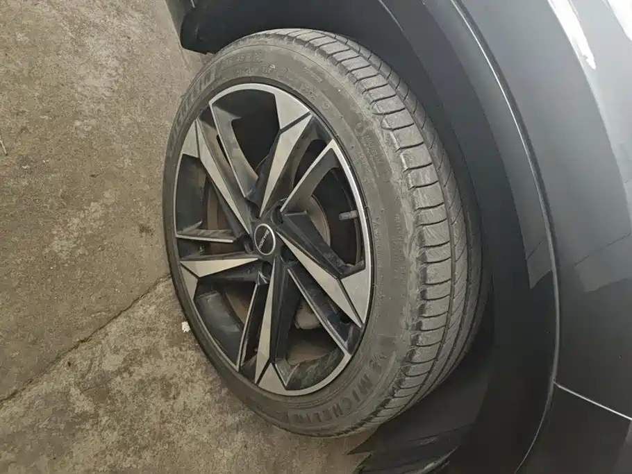 Roewe RX5 MAX 2022 2022 2.0T Auto Promising Honor Edition