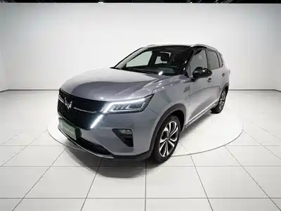 Wuling Asta