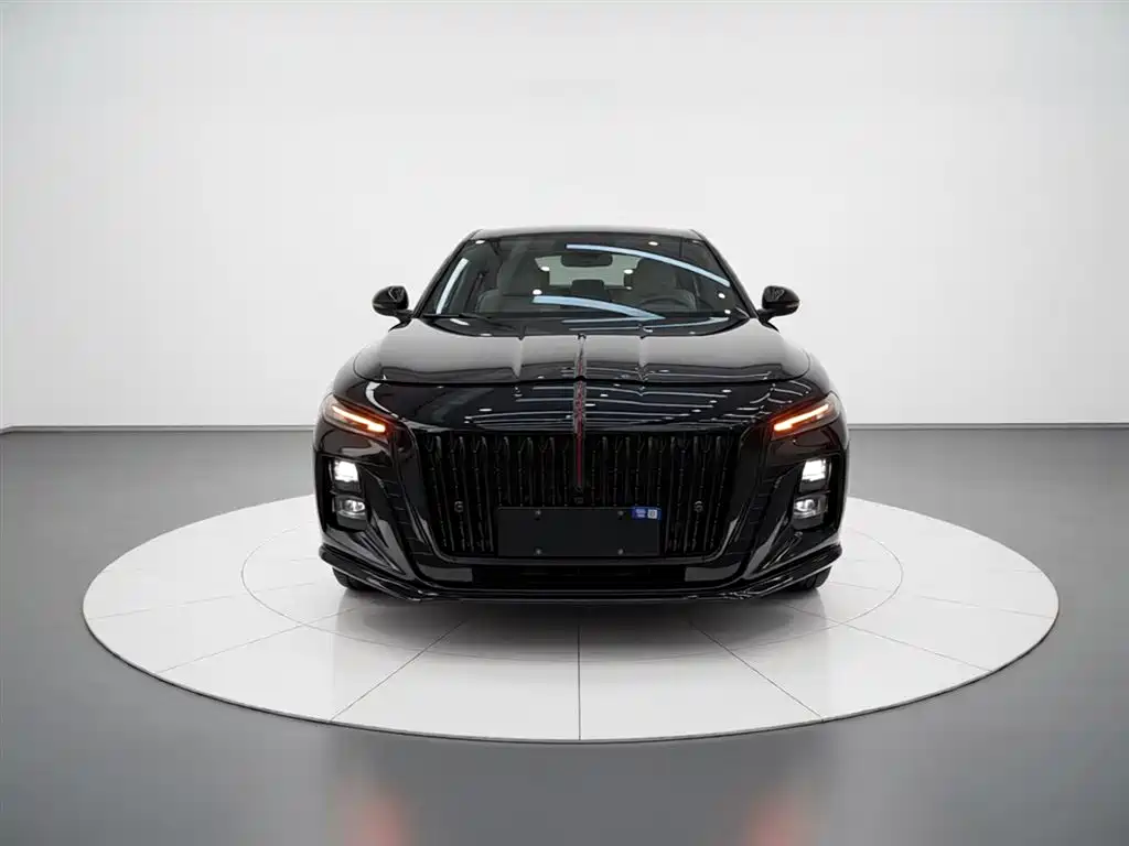 Hongqi H5 2025 2.0T Automatic Mystic Shadow 2 Million Edition фото 3
