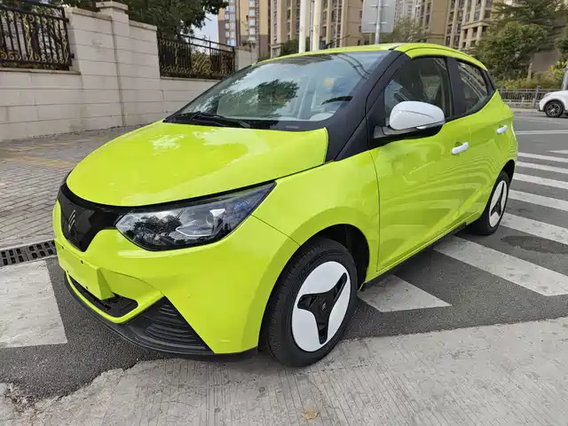  JMCG New Energy Little Kirin 2024 201km Luxury Model