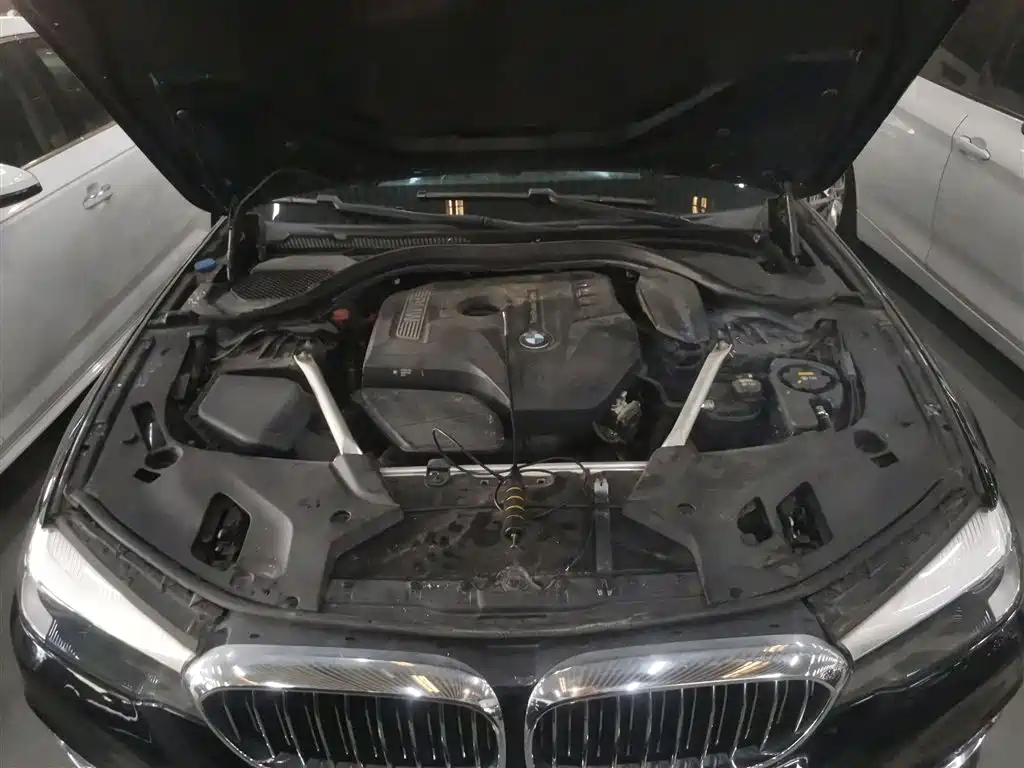 BMW 5 Series 2018 Facelift 530Li Leading Luxury Package фото 20