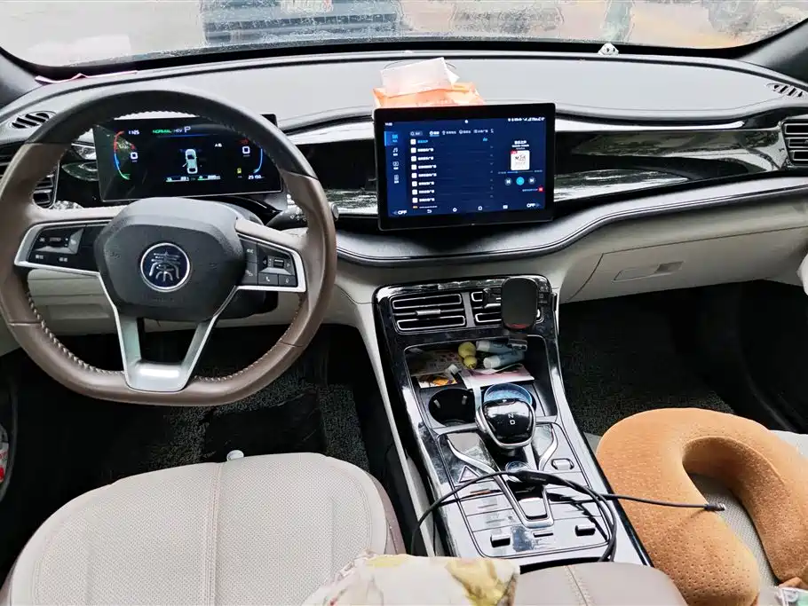BYD Qin PLUS 2024 Glory Edition DM-i 55KM Leading фото 12