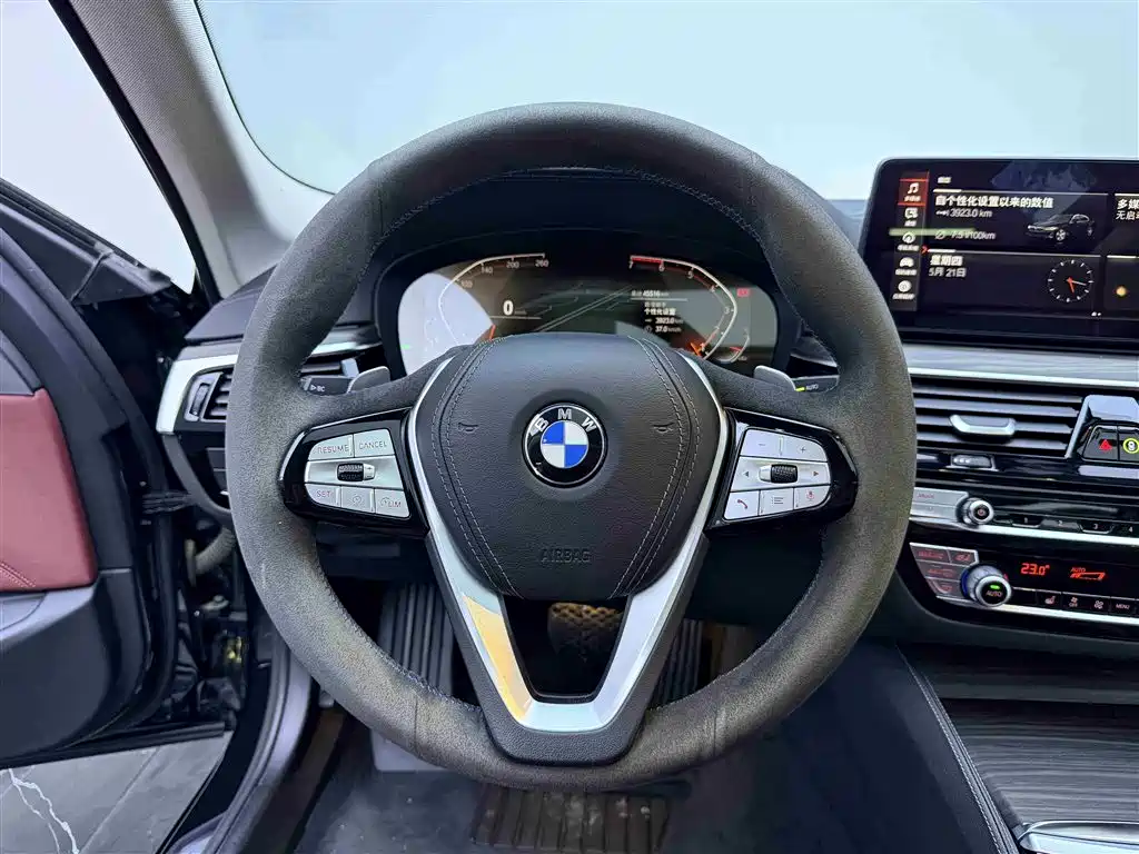 BMW 5 Series 2021 530Li Leading Luxury Package фото 15
