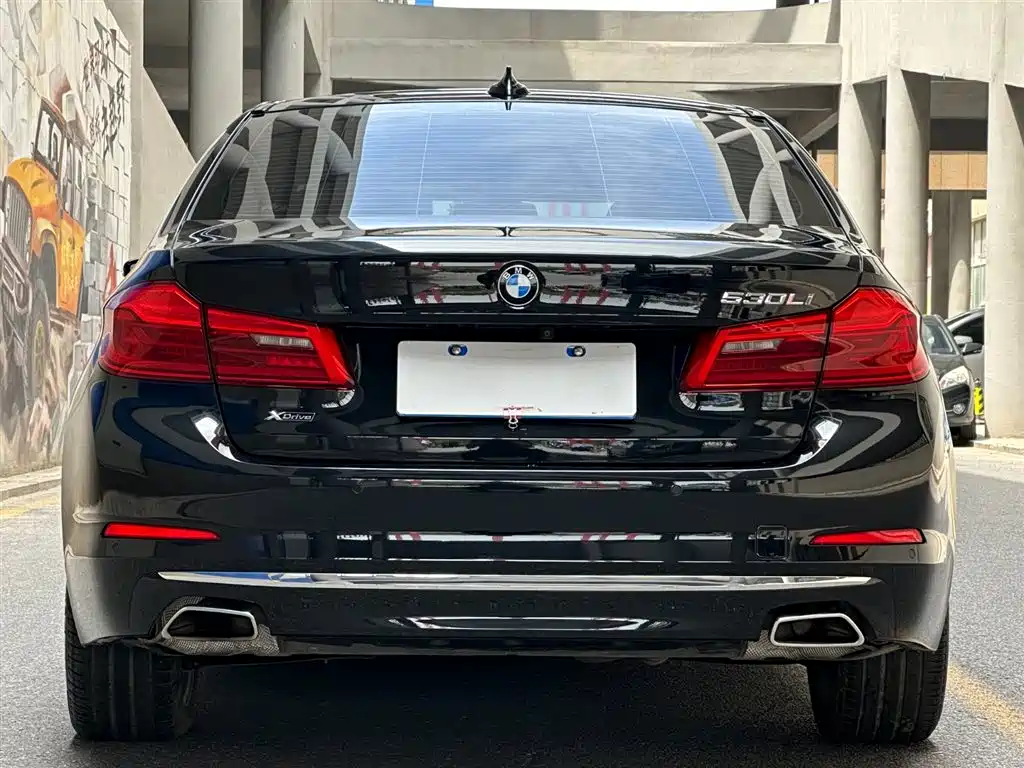 BMW 5 Series 2020 530Li xDrive Luxury Package фото 4