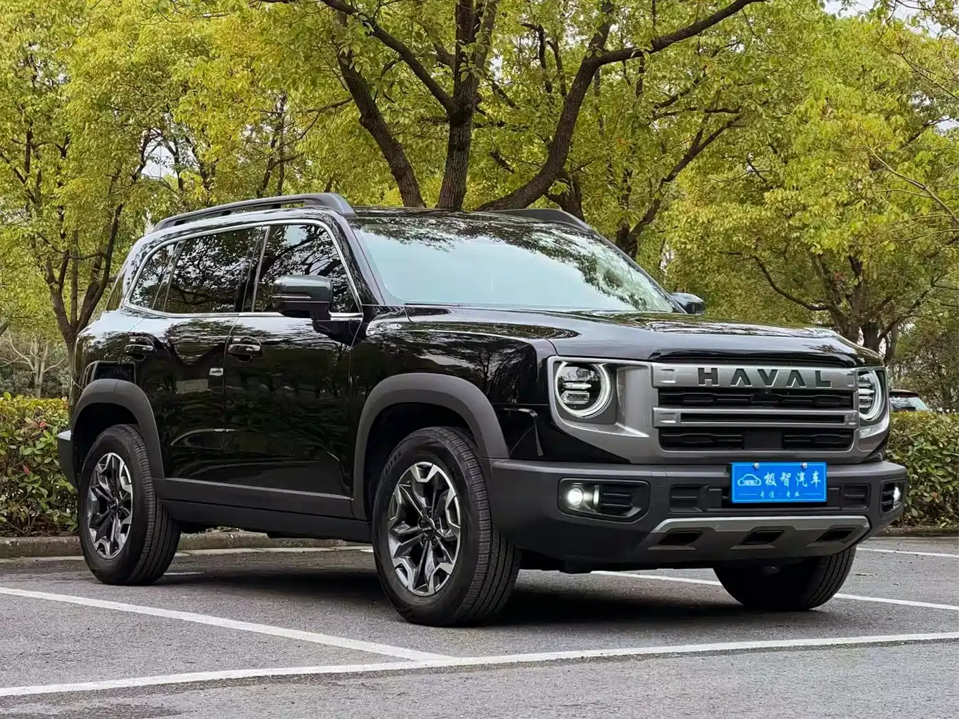 Haval Big Dog 2024 2.0T DCT Chinese Rural Dog Edition фото 3