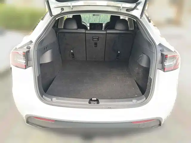 Tesla Model Y 2024 Rear-Wheel Drive Version — фото 5