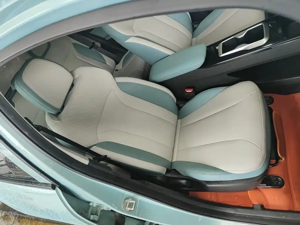 Geely Geometry E Firefly 2024 2024 Model 301km Starlight