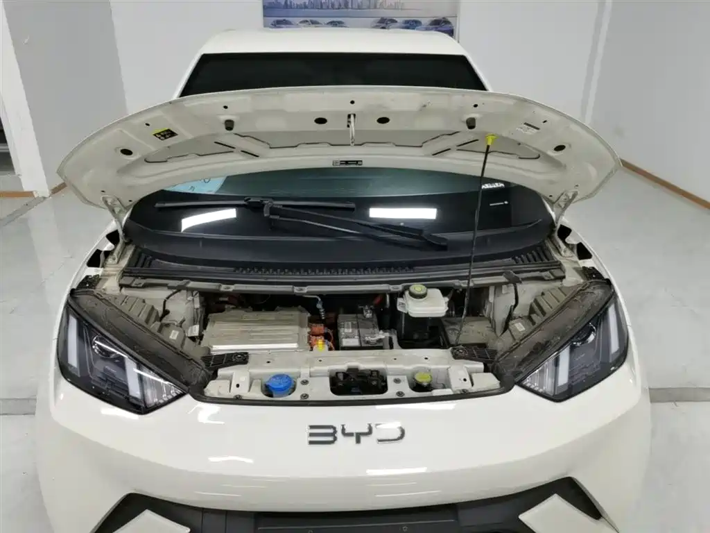 BYD Seagull 2025 305km Vitality фото 16